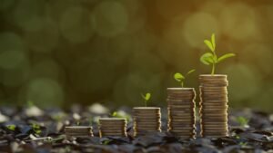 Read more about the article From Startups to Enterprises: How FACET CPA Supports Business Growth