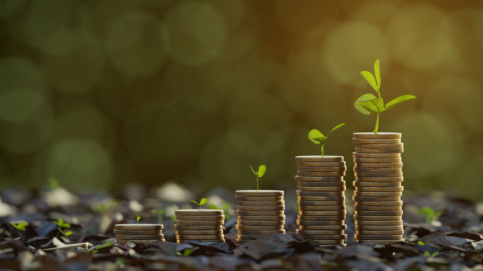 You are currently viewing From Startups to Enterprises: How FACET CPA Supports Business Growth